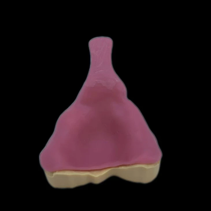 Dental Impression Tray