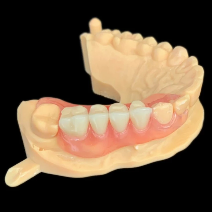 Dental Removable Partial Flexible Denture
