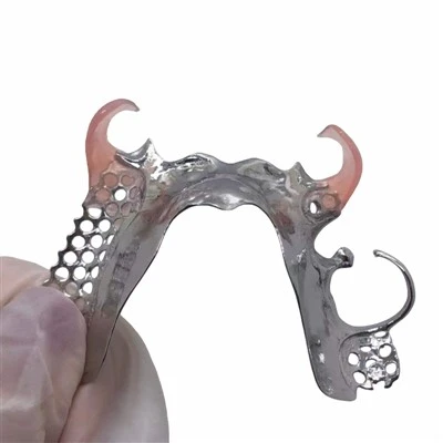 Cocr Metal Framework with Valpalst Clasp