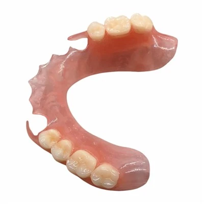 Partial Flexible Dentutre